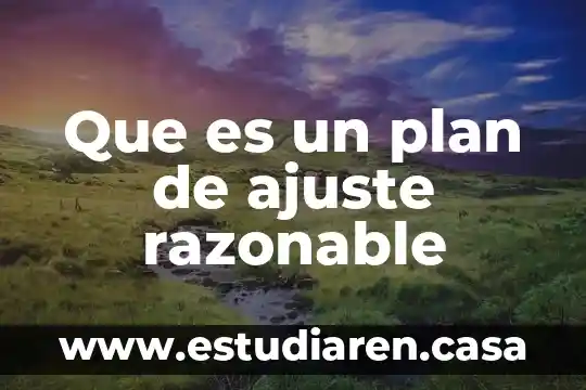 Que es un plan de investigaciom 3 Que es un plan de ajuste razonable