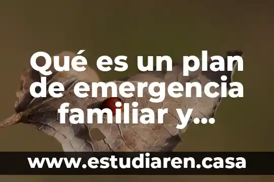 Que es la estructura familiar 3 Qu茅 es un plan de emergencia familiar y comunitario