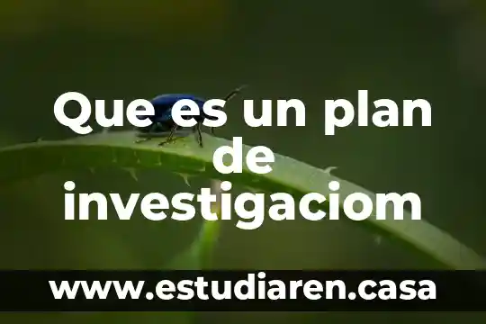 Que es un plan de ajuste razonable 3 Que es un plan de investigaciom