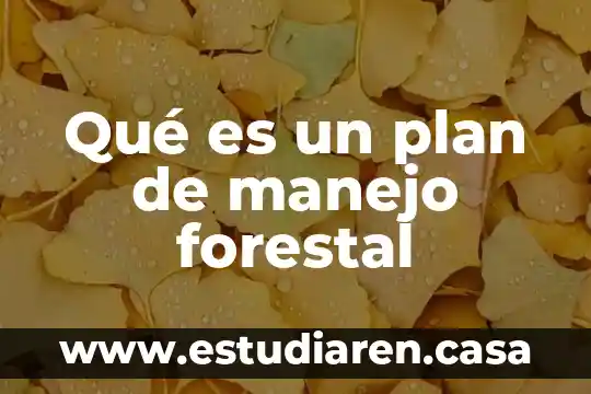 Qué es un plan de manejo forestal
