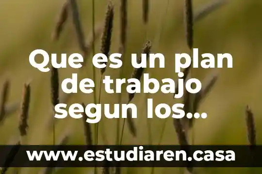 Que es un plan de trabajo segun los autores