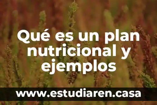 Vigilancia nutricional que es 7 Qué es un plan nutricional y ejemplos