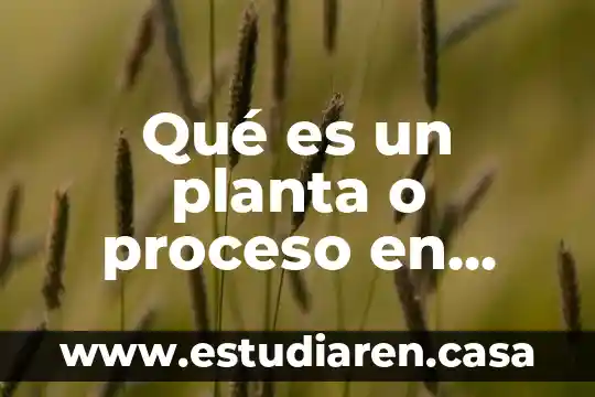 Qué es un planta o proceso en instrumentación