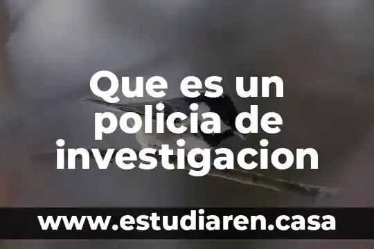Que es una investigacion micro 3 Que es un policia de investigacion