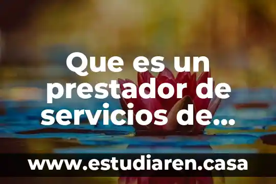 Que es un prestador de servicios de salud