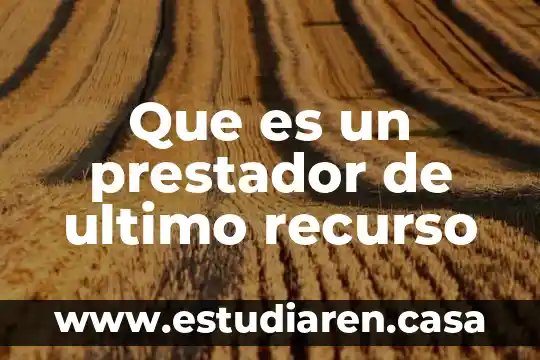 Qué es recurso de reposición en Jalisco 3 Que es un prestador de ultimo recurso