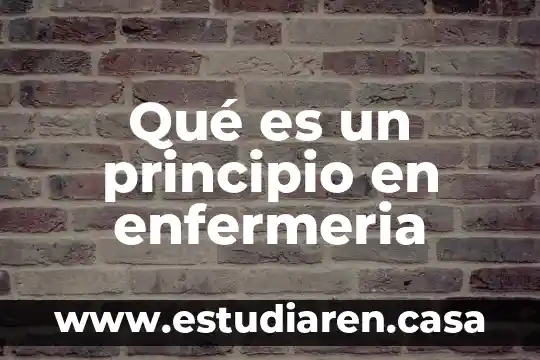 Que es el principio de vinculacion con el gasto publico 3 Qué es un principio en enfermeria