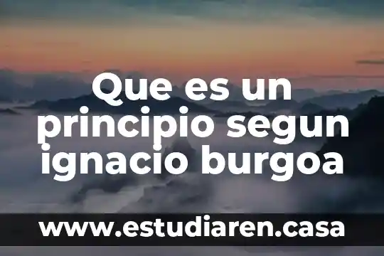 Qué es el principio protector y un ejemplo 8 Que es un principio segun ignacio burgoa