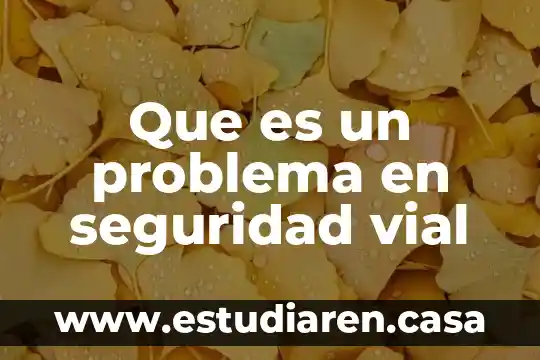 Técnico profesional en seguridad vial que es 6 Que es un problema en seguridad vial