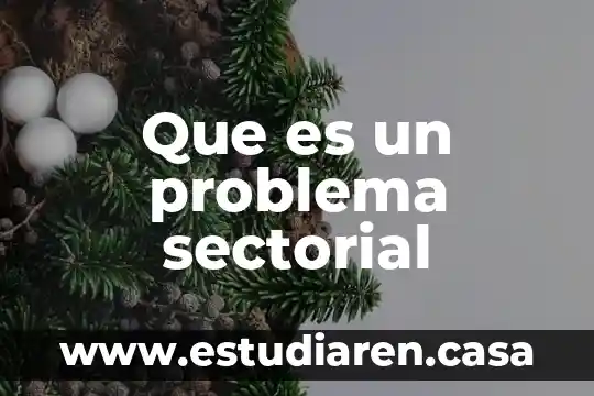 Que es un problema sectorial