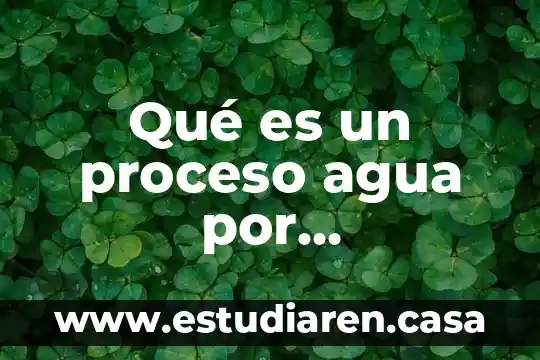 Qué es un proceso agua por intercambio iónico