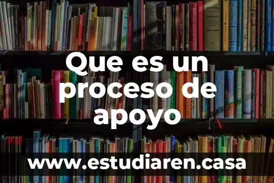 Que es un proceso de apoyo