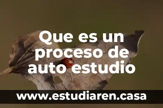 Que es proceso de apoyo en la calidad 3 Que es un proceso de auto estudio