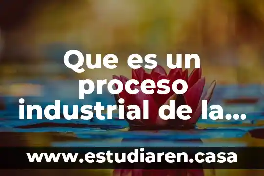 Que es y como evoluciono la computadora 8 Que es un proceso industrial de la computadora
