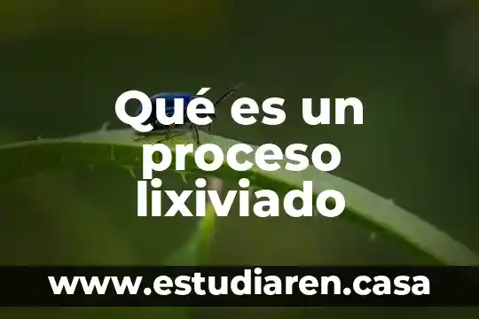 Que es el proceso de lectura avanzado 4 Qué es un proceso lixiviado