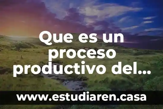 Que es un proceso productivo del transporte
