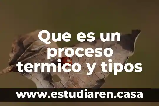 Que es un proceso termico y tipos