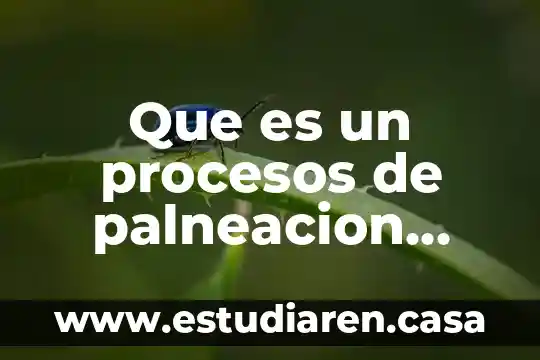 Que es la contexto educativo en la pedagogia 6 Que es un procesos de palneacion educativo