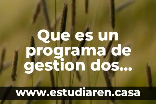 Que es un programa de gestion dos puntos uve