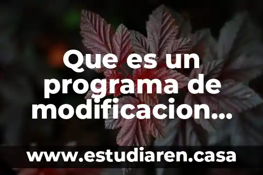 Que es un programa de modificacion de la conducta escolar