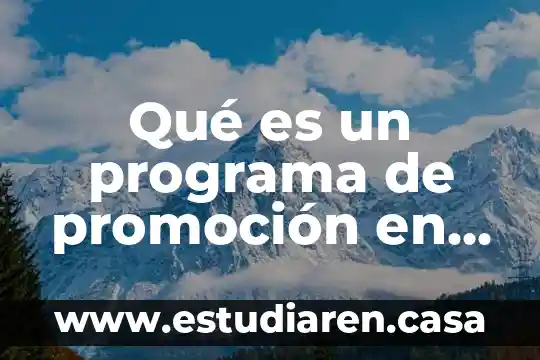Qué es un programa de promoción en mercadotecnia