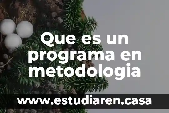Que es el disl de estudio en metodología 3 Que es un programa en metodologia