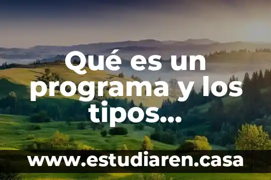 Qué es un programa y los tipos administración