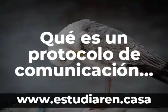 Que es un protocolo de derechos humanos 8 Qué es un protocolo de comunicación profibus