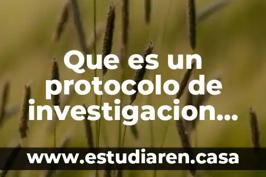 Que es y como funciona el protocolo smtp 5 Que es un protocolo de investigacion cualitativa