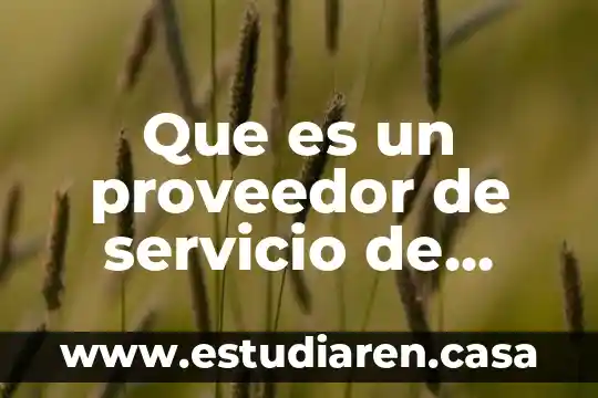 Que es pop correo electronico 6 Que es un proveedor de servicio de correo electronico