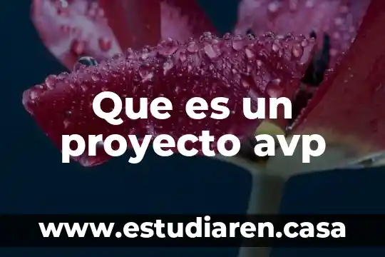 Que es una licitacion de proyecto 5 Que es un proyecto avp