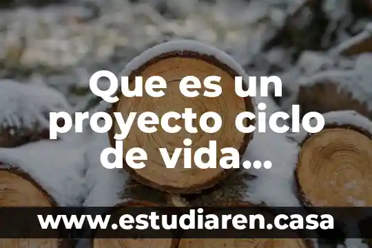 Que es un proyecto ciclo de vida clasificacion