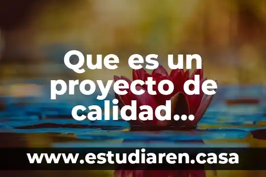 Que es un control plan de calidad 4 Que es un proyecto de calidad educativa