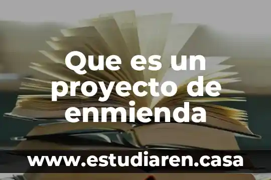 Que es una licitacion de proyecto 4 Que es un proyecto de enmienda