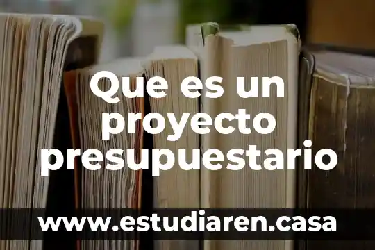Que es hostear una pagina web 3 Que es un proyecto presupuestario