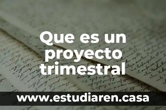 Que es un proyecto trimestral
