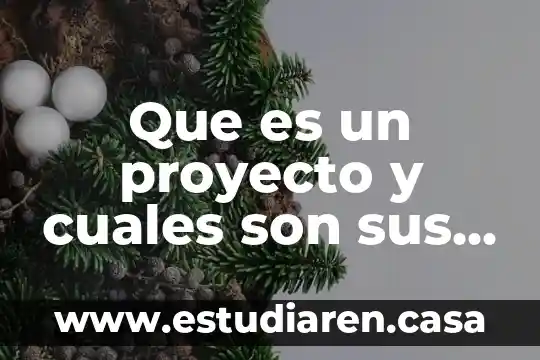 Qué es una nota periodística y cuáles son sus partes 4 Que es un proyecto y cuales son sus funciones