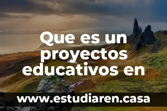 Que es un proyectos educativos en