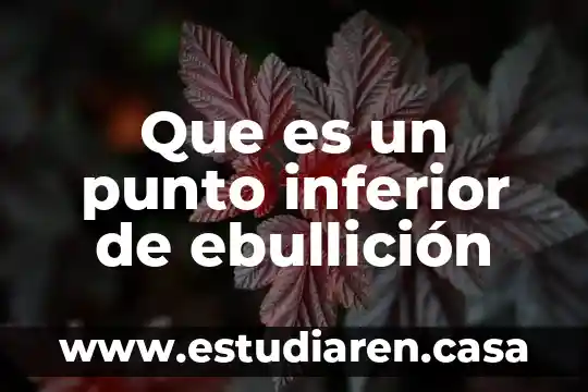 Física que es el punto de ebullición 7 Que es un punto inferior de ebullición