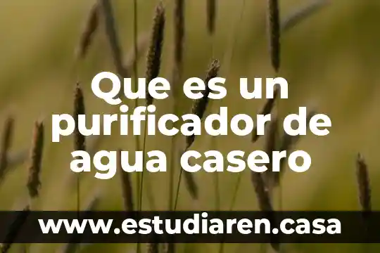 Que es un purificador de agua casero