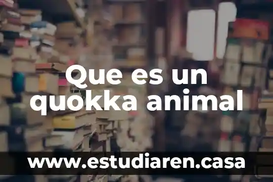 Que es un quokka animal