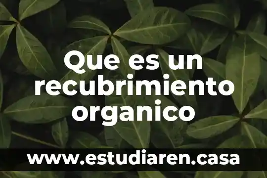 Que es un personaje incidental en un cuento 7 Que es un recubrimiento organico