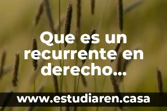 Que es un recurrente en derecho procesal