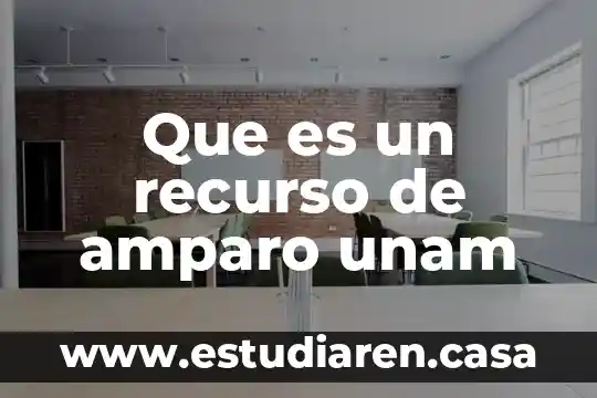Que es un prestador de ultimo recurso 7 Que es un recurso de amparo unam