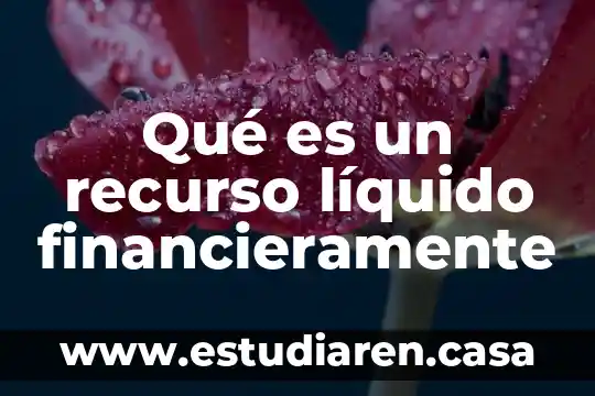 Que es mas viscoso un liquido o un gas 8 Qué es un recurso líquido financieramente