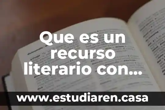 Que es un prestador de ultimo recurso 4 Que es un recurso literario con ejemplo