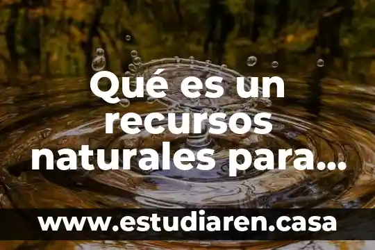 Que es la reproducción ciencias naturales 7 Qué es un recursos naturales para la vida ejemplos