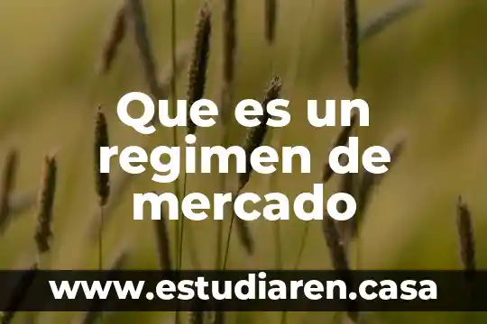 Que es un regimen de mercado