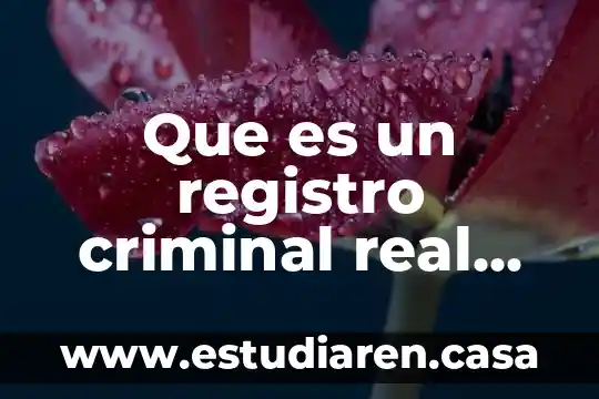 Que es transfondo diccionario la real academia española 7 Que es un registro criminal real academia española