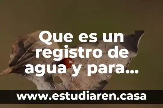 Registro de dmarc publicado que es 4 Que es un registro de agua y para que sirve